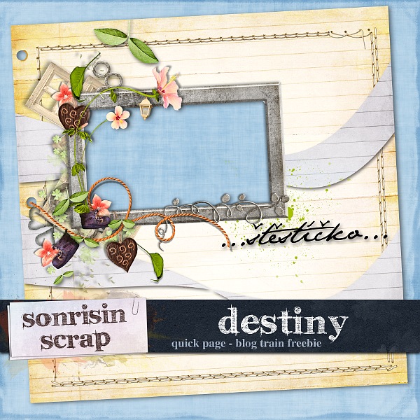 DestINY - charity collaboration kit DestINY - charity collaboration kit